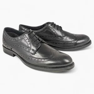 Dubarry Delaware Black Brogue Shoes – Classic Wingtip Design & Comfortable Fit