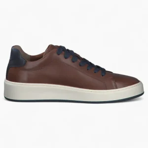 Men's Brown Leather Runner Style Trainers with Blue Accents