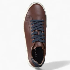 Men's Brown Leather Runner Style Trainers with Blue Accents